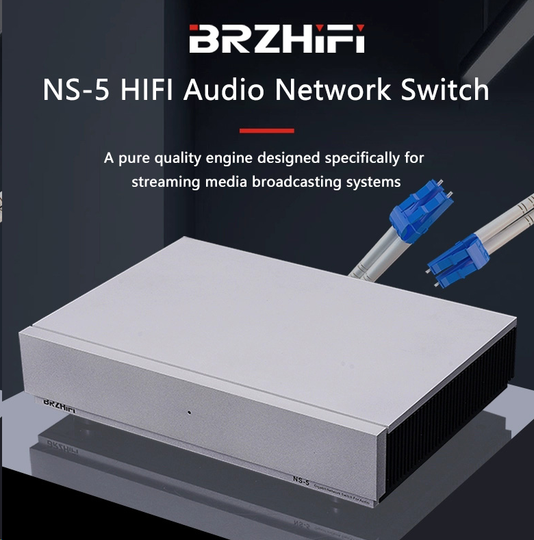 BRZHIFI Audio Network Switch N - Audio Music Enhancer avis et prix