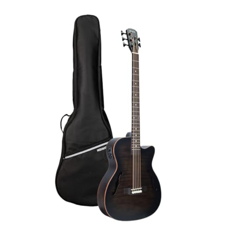 5-String Acoustic Electric Bas - Bass Guitar Strings avis et prix
