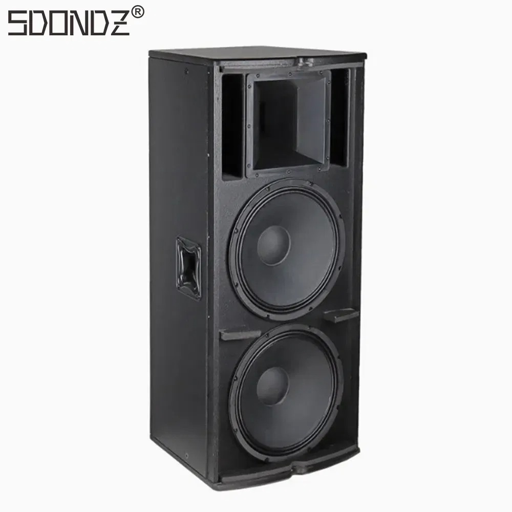 Professional 15‑Inch Passive P - Audio Music Dj avis et prix