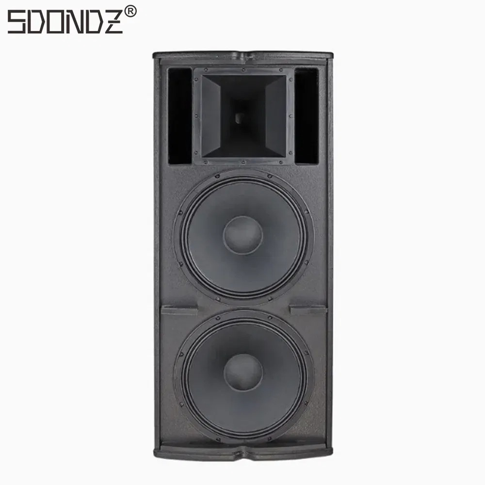 Professional 15‑Inch Passive P - Audio Music Dj avis et prix