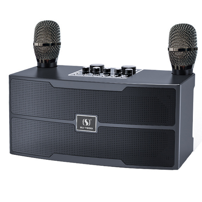 120W High Power Wireless Porta - Audio X Music avis et prix