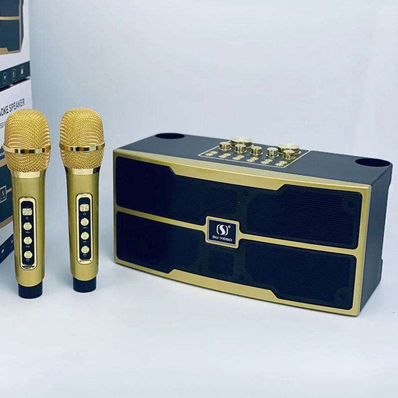 120W High Power Wireless Porta - Audio X Music avis et prix