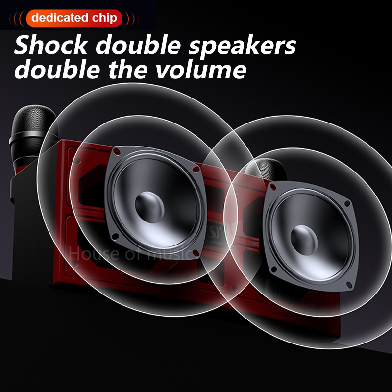 120W High Power Wireless Porta - Audio X Music avis et prix