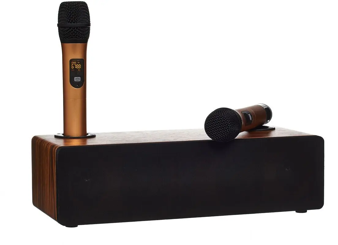 Wireless microphone audio all- - Audio X Music avis et prix